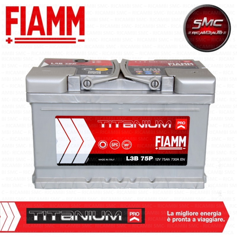 FIAM7905156